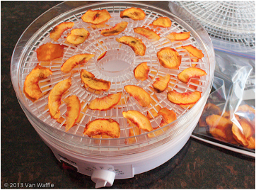 How to Dry Fruit Using a Dehydrator - fANNEtastic food