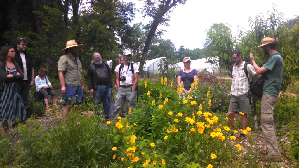 POP co-sponsored Philadelphia's first ever full Permaculture Design Course in 2015. Our partners report a high level of interest in expanded educational programs. 