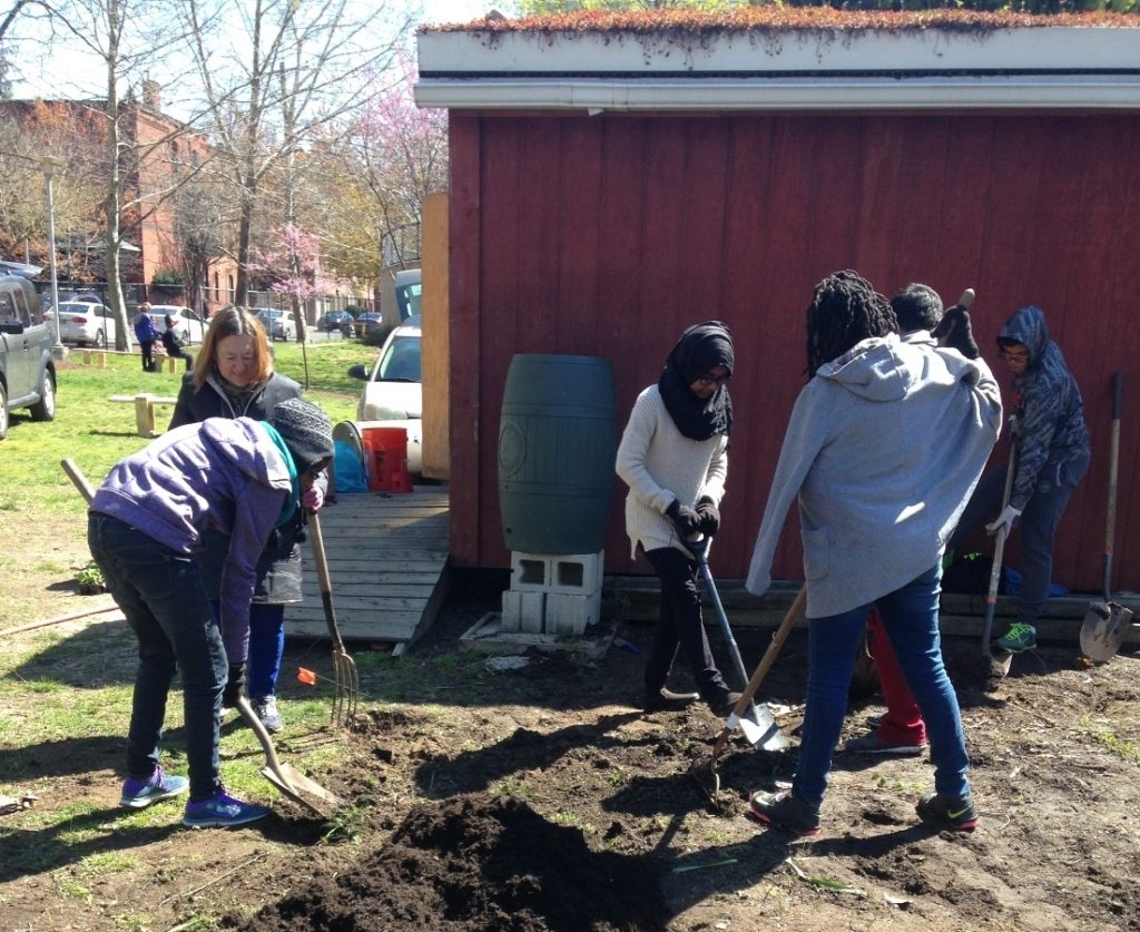 Volunteers preparing the soil for orchard planting at Penn Alexander School in West Philly. 