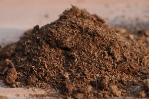 Peat Moss is a major component of "soilless mixes" for rooting cuttings and air layering.