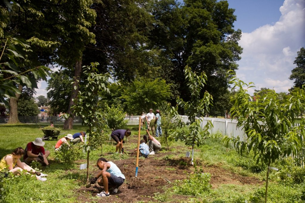 People planting trees at Woodford Mansion in East Fairmount Park