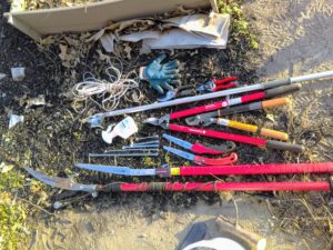 Pruning tools, bottom to top: 12’ telescoping pole saw and pruner, expandable pole saw, limb spreaders of various sizes, pruning saws, 70% isopropyl alcohol, loppers, extendable pole pruner, hand pruners, gloves, and twine 
