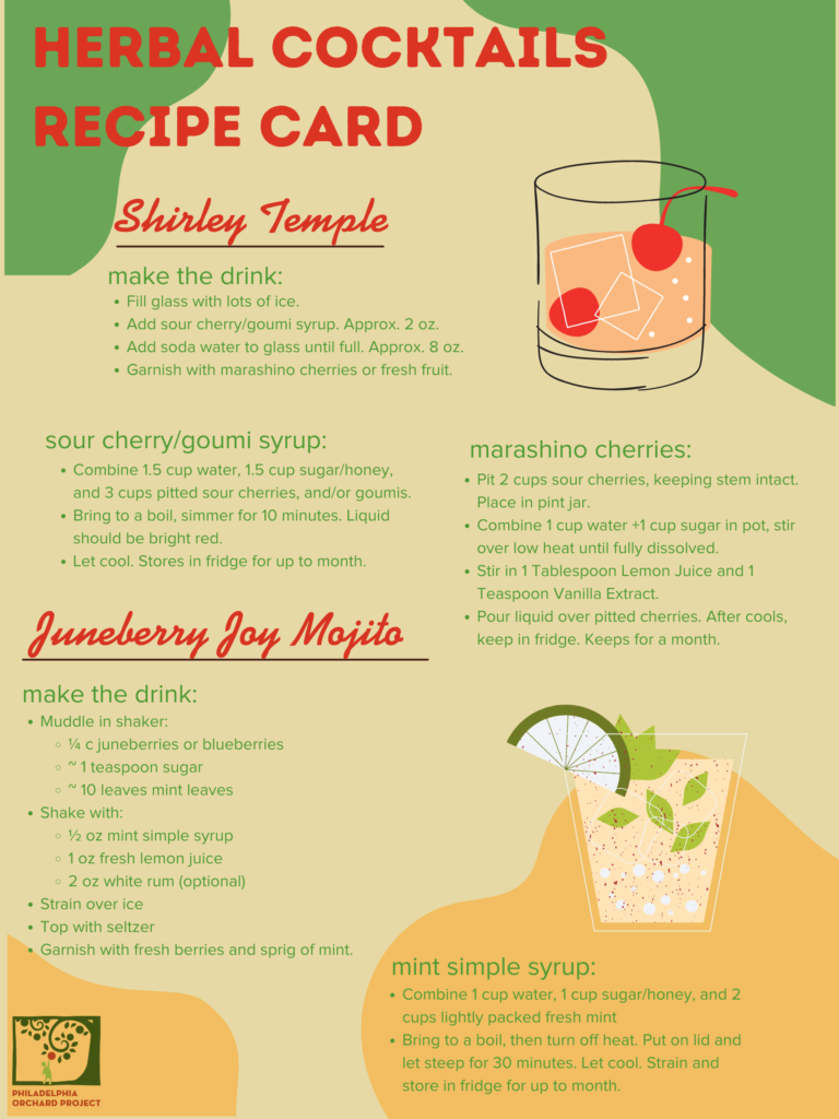 Recipe card for herbal mocktails and cocktails