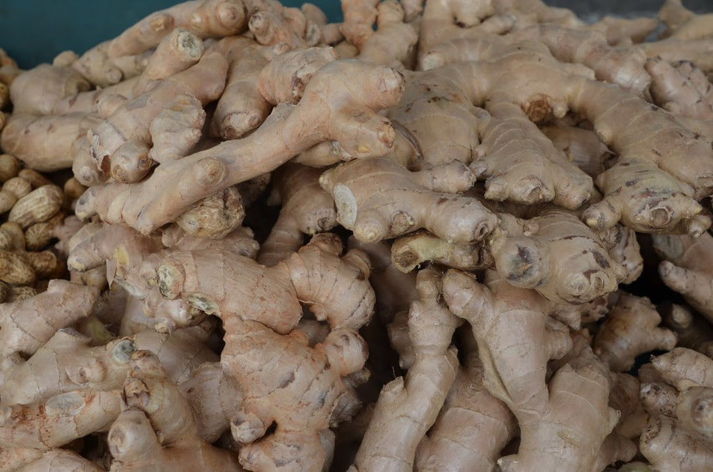 fresh ginger root/rhizome 