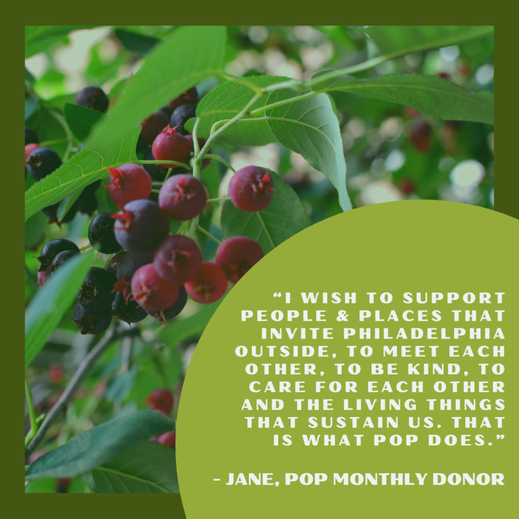 A quote reading “I wish to support people and places that invite Philadelphia outside, to meet each other, to be kind, to care for each other and the living things that sustain us. That is what POP does.” THe quote is over an image of juneberries
