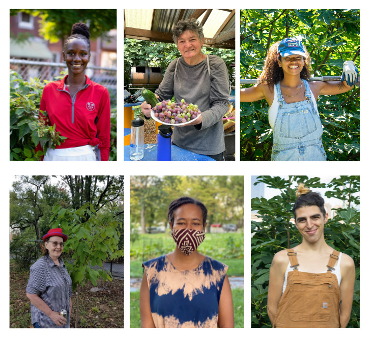 POP Lead Orchard Volunteers from 2020/2021. Clockwise from top left: Nafeesah C @ UBC Garden of Eden; Neury C @ Norris Square Neighborhood Project; Aihnoa W @ Bartram's Garden; Ella H @ Penn Park; Taylor H @ The POP Learning Orchard; Becky A @ The POP Learning Orchard. Photos courtesy POP and Tirzah Vogels.