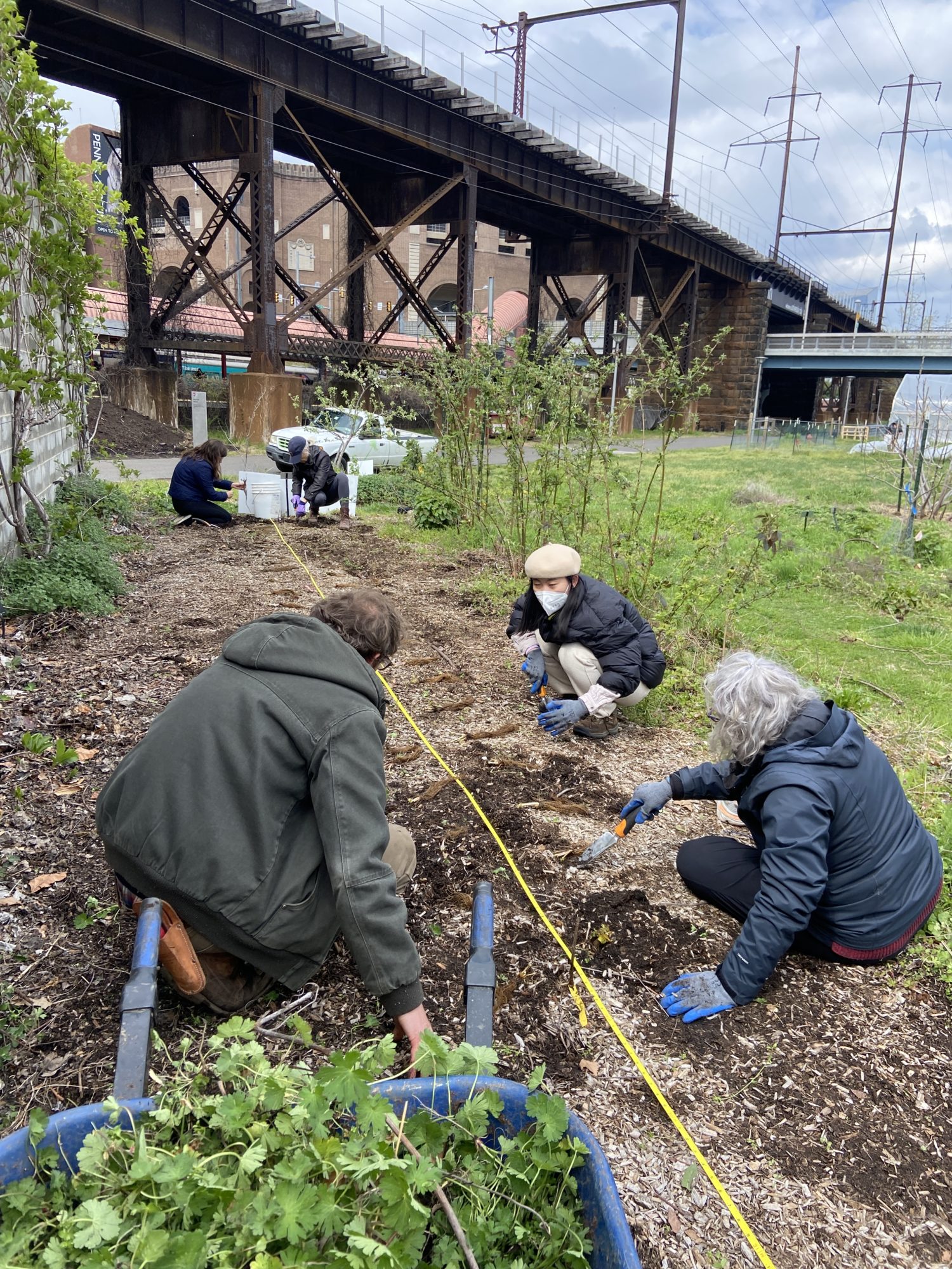 Volunteers sit or crouch on a mulched area alongside a yellow rope that marks where the berries are to be planted. It is early spring and the trees are just starting to show their leaves.  A raised train platform lurks in the background.