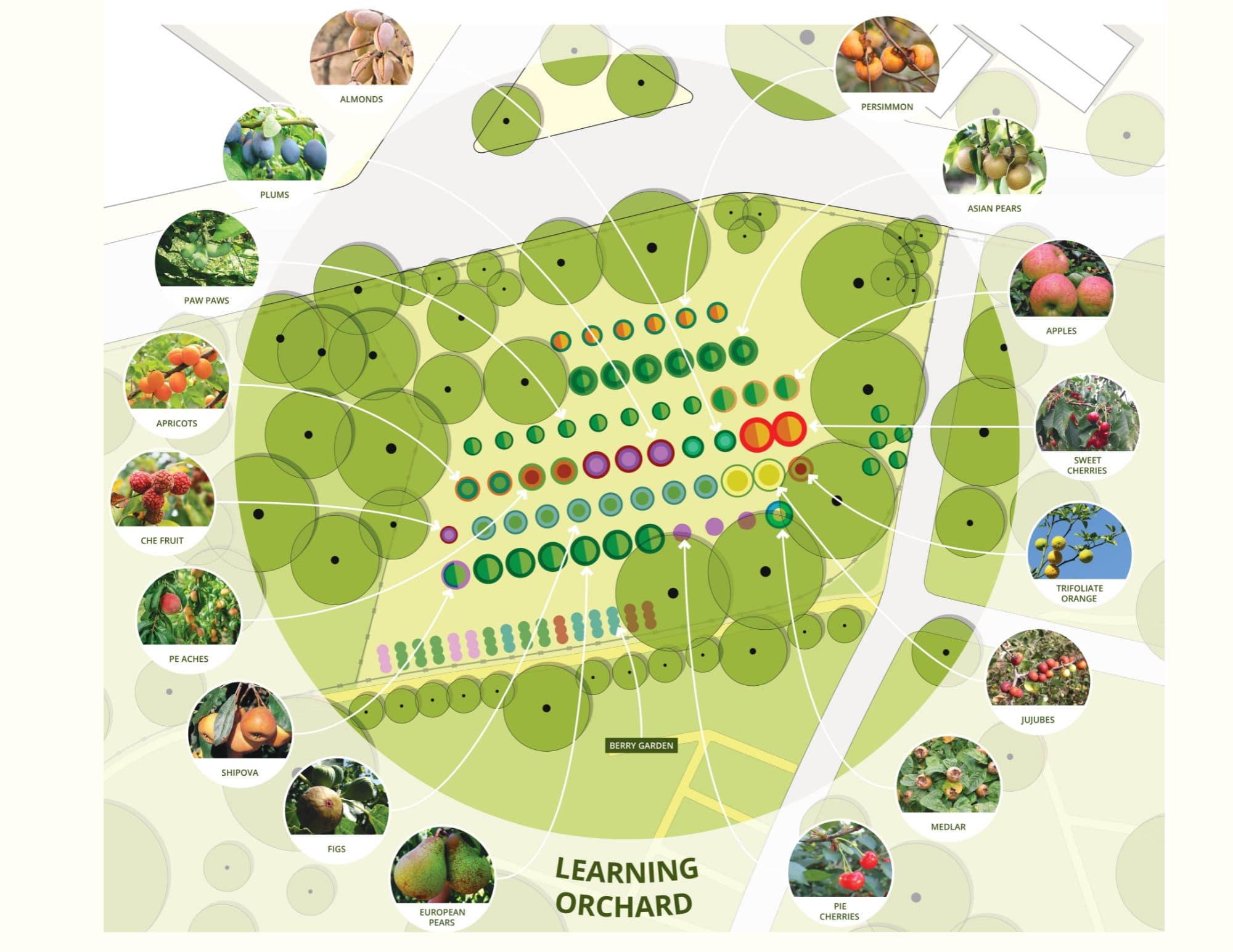 Map of the POP Learning Orchard