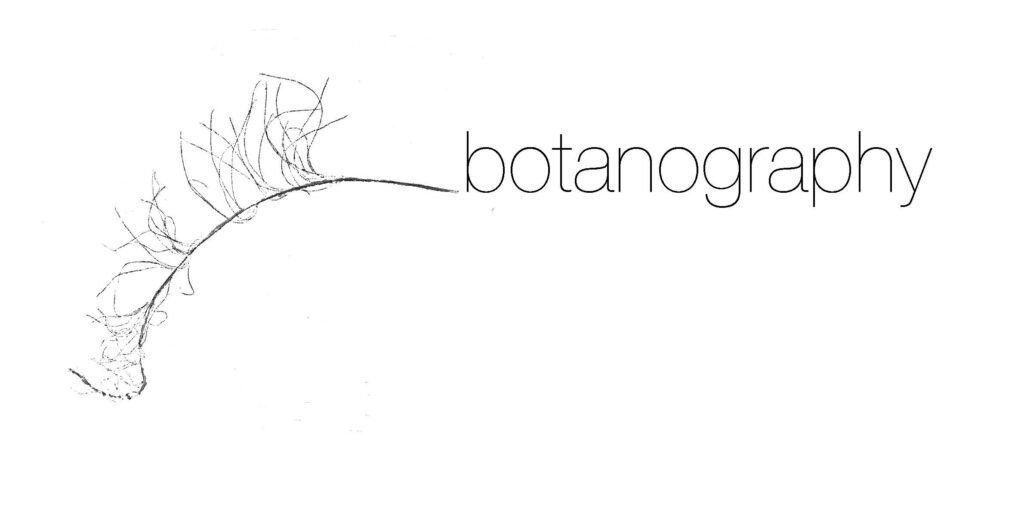 Botanography logo